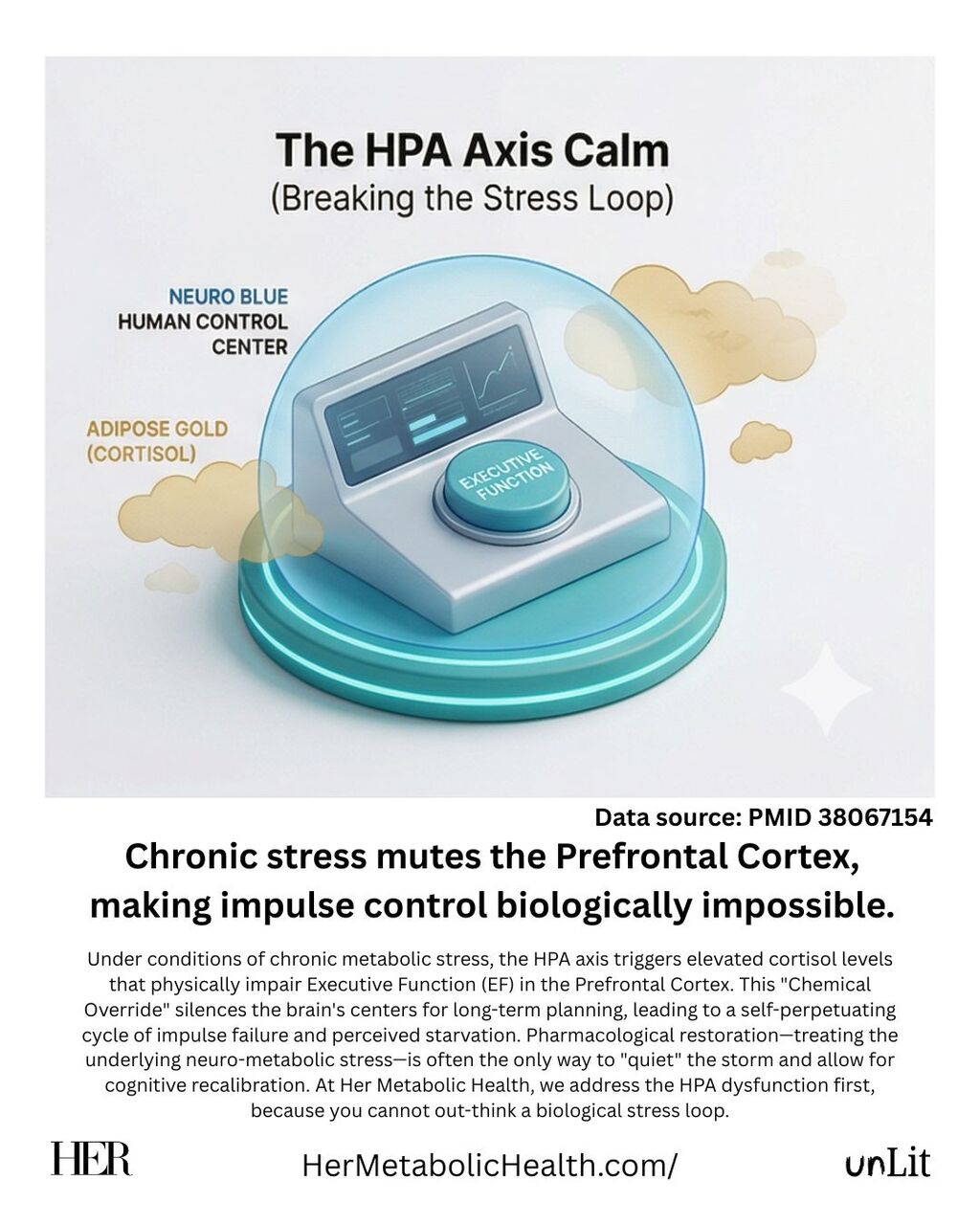 The HPA Axis: Restoring Executive Function