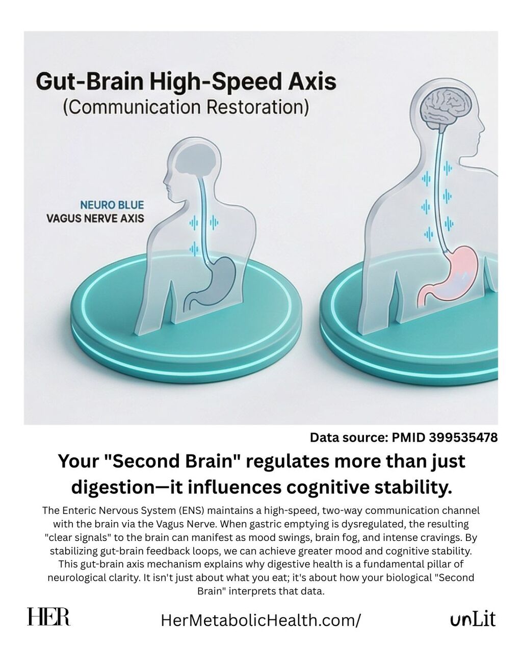 The Gut-Brain Axis: Cognitive Stability via the ENS