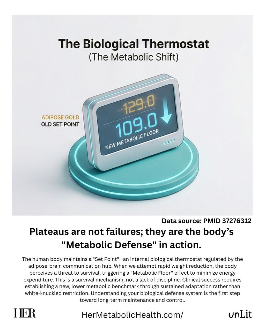 The Biological Thermostat: Managing the "Metabolic Floor"