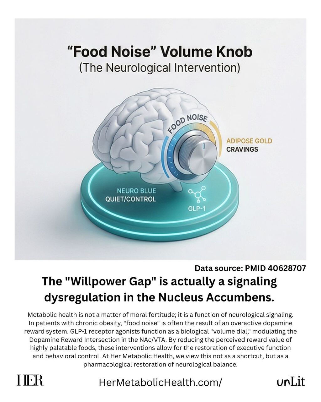 The Nucleus Accumbens: Addressing "Food Noise"